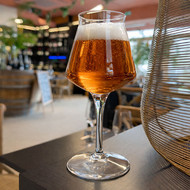Verre Teku sans marquage rempli de bière ambrée dans un bar